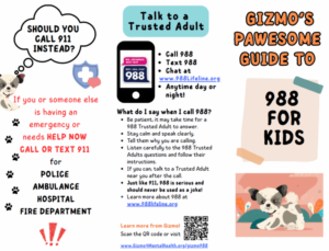 Gizmo 988 Brochure